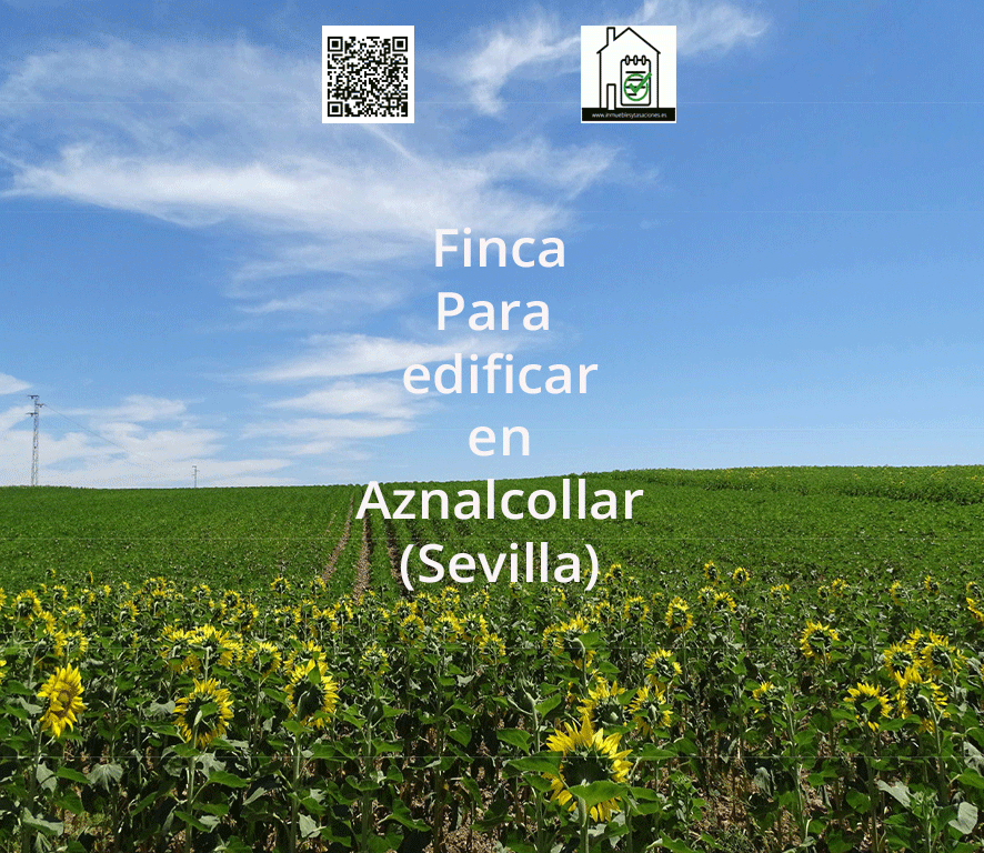 FOTO-1-FINCAinstagram
