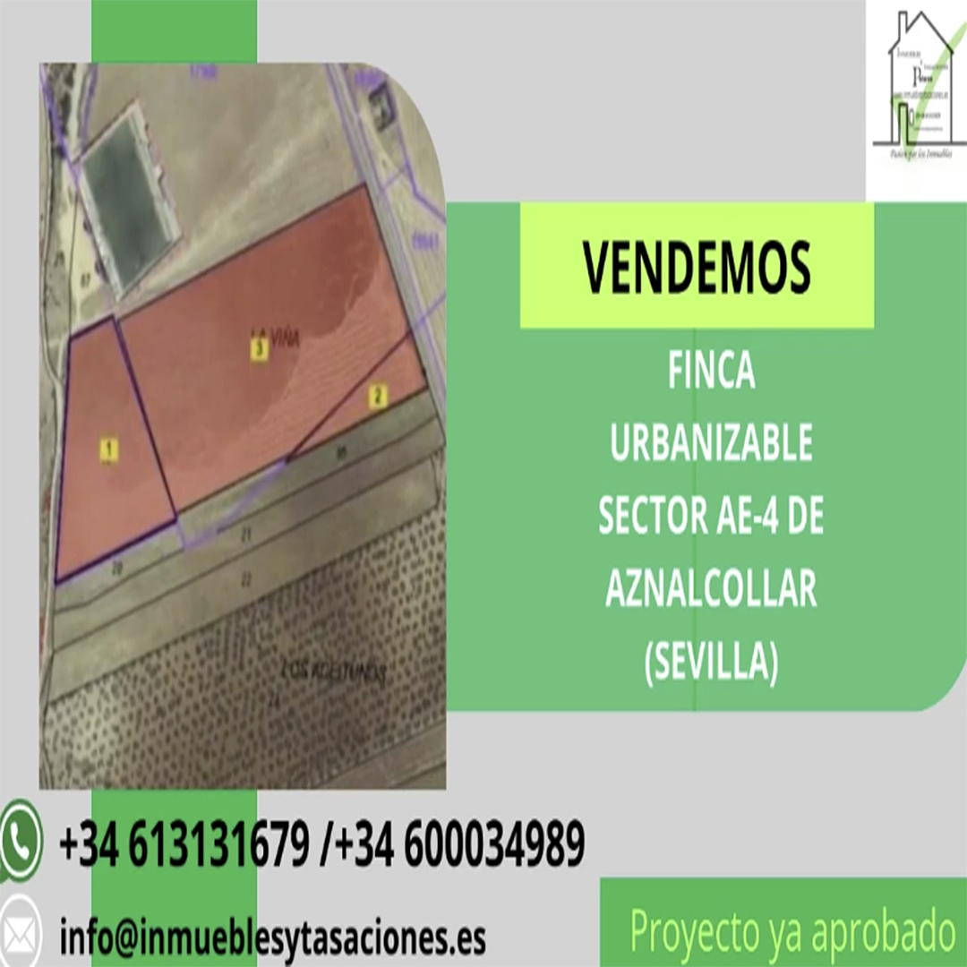caratula ae4b