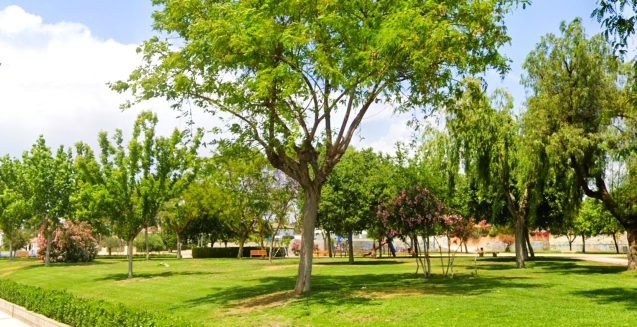 Parque Infantil